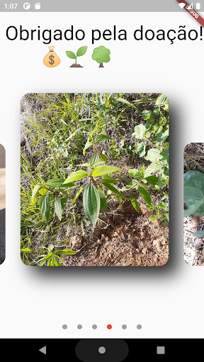 Android application Você tem 1 Real? Floresta screenshort