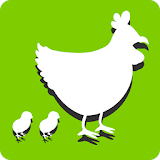 Grow Chicken icon