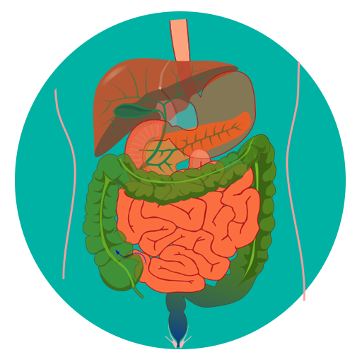 Nursing Anatomy  Physiology