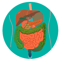 Nursing Anatomy & Physiology