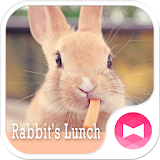 Cute Theme-Rabbit's Lunch- icon