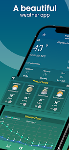 World Weather – Rain Radar APK for Android Download 1