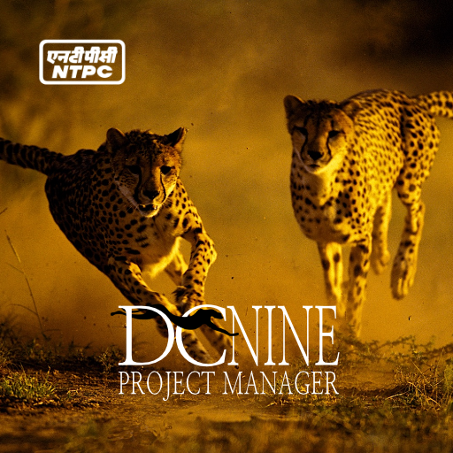 Dcnine Ntpc Saubhagya