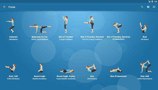 Pocket Yoga – Apps no Google Play