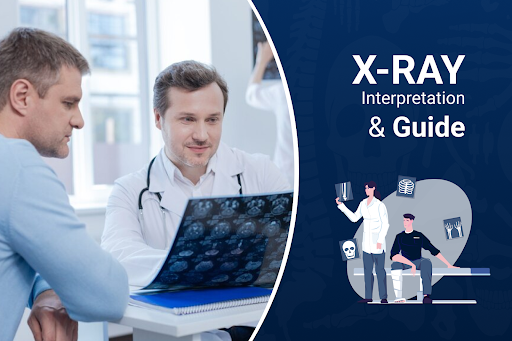 X-Ray Interpretation Guide Screen 2