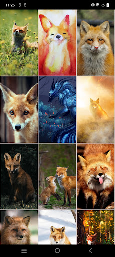 Fox Wallpapers Screen 3