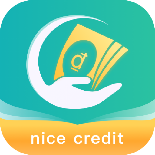nice credit logo