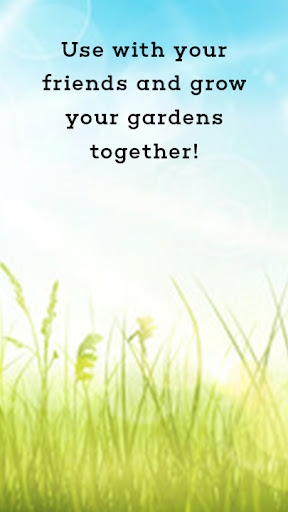 Garden Screen 3