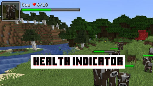 Health  Damage Indicator MCPE