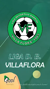 Liga Villaflora