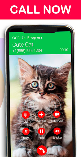 Cute Cat Fake Call