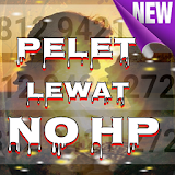 Pelet Lewat No Hp icon