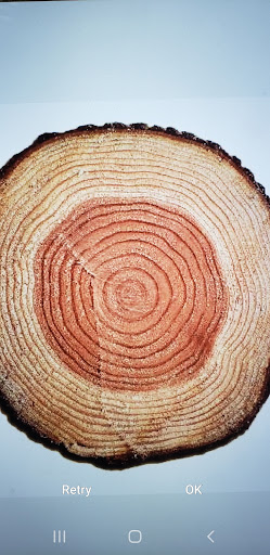 Android application TreeRings screenshort