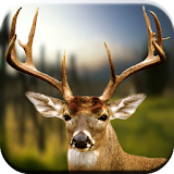 Deer Hunting Calls Soundboard icon