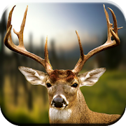 Top 39 Sports Apps Like Deer Hunting Calls Soundboard - Best Alternatives