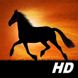 horse wallpapers HD free icon