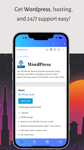 LiveDataLink Business Services Screen 2