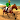 Ind Vs Pak Horse Racing 3D : D