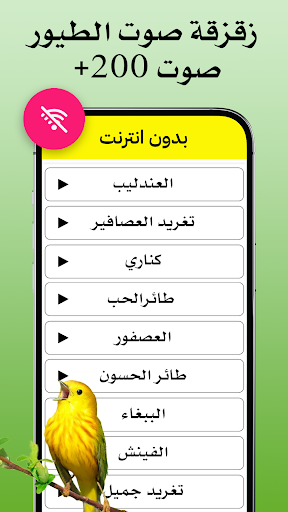معاينة التطبيق