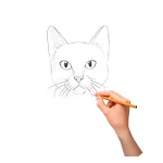 Cover Image of Unduh How To Draw Beautiful Cats 1.1 APK