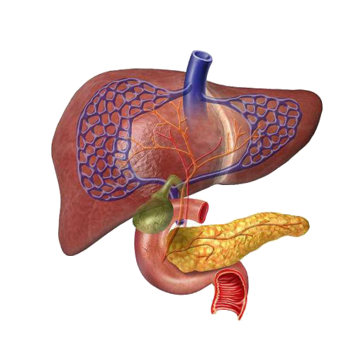 My LGP Health logo