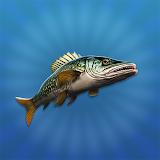 True Fishing 2 icon