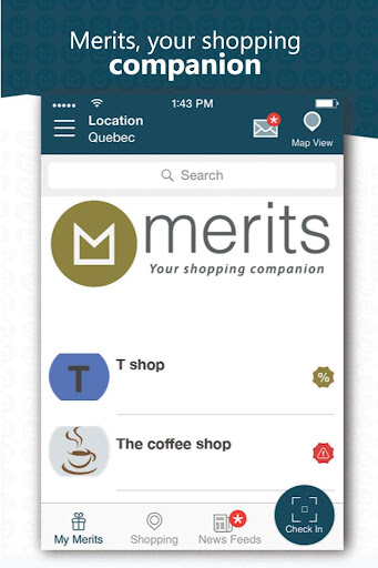 Merits Screen 2
