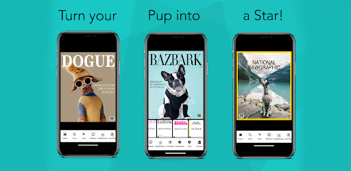Android application Coverdogs screenshort
