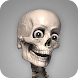 Skelly: Poseable Anatomy Model