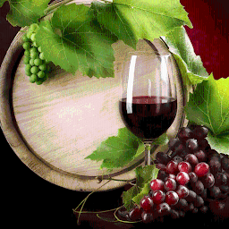 Icon image Cave dos vinhos
