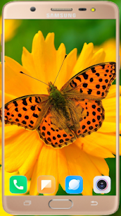Butterfly Wallpaper HD