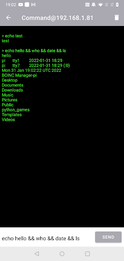 PiBuddy Screen 2