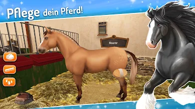 Horse World Mein Reitpferd Spiel Mit Pferden Apps Bei Google Play