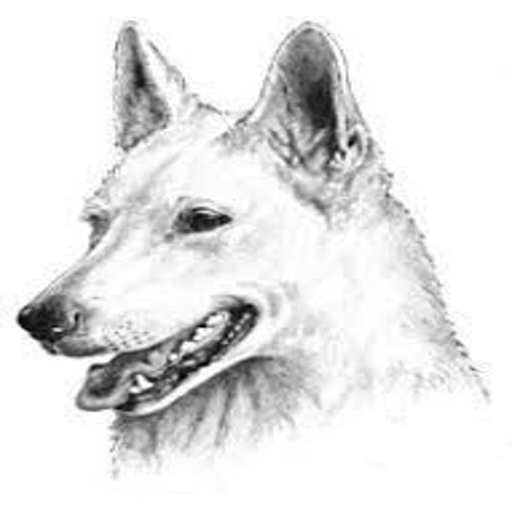 Weiße Schäferhunde logo
