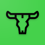 Bulls And Cows: Break the Code
