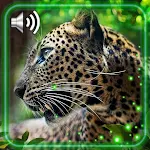 Cover Image of Télécharger Jaguars Live Wallpaper 1.2 APK