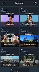 Learn Japanese. Speak Japanese Apk Download New* 1