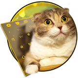 3D Live chubby Cute Kitty Keyboard icon