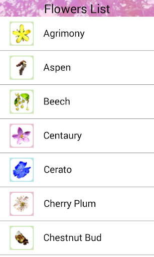 Bach Flowers Screen 3