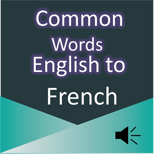 Common Word English to French  Icon