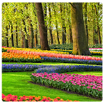Cover Image of Download Spring Wallpaper‏ 1.0 APK