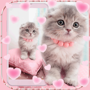 Pink Cute Kitty Cat Theme 1.2.1 Icon