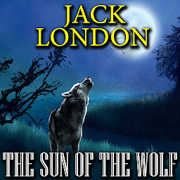 Icon image The Sun of the Wolf