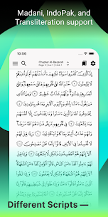 Tarteel: Quran Memorization MOD (Premium Unlocked) 6