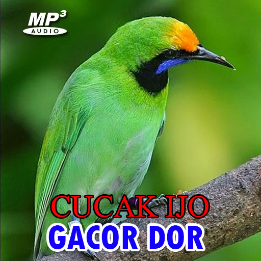 Cucak Ijo Gacor Dor logo