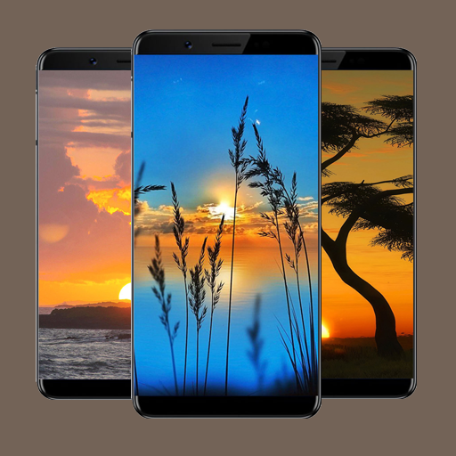 Sunrise Wallpapers