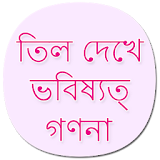 Mole Meaning Body in Bengali icon