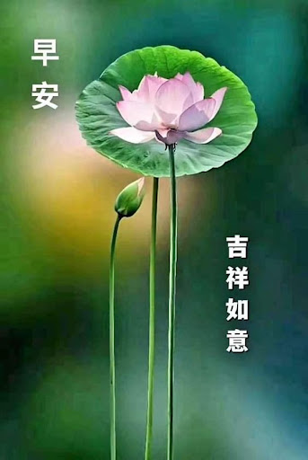 Android application 早安-早上好 早安问候图片祝福图片 晚安问候 新年祝福 screenshort