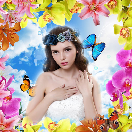 Butterfly Photo Frames logo