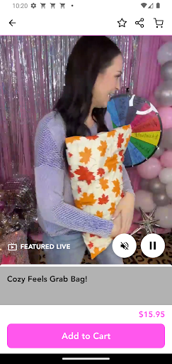 Screenshot of The Sisters Boutique